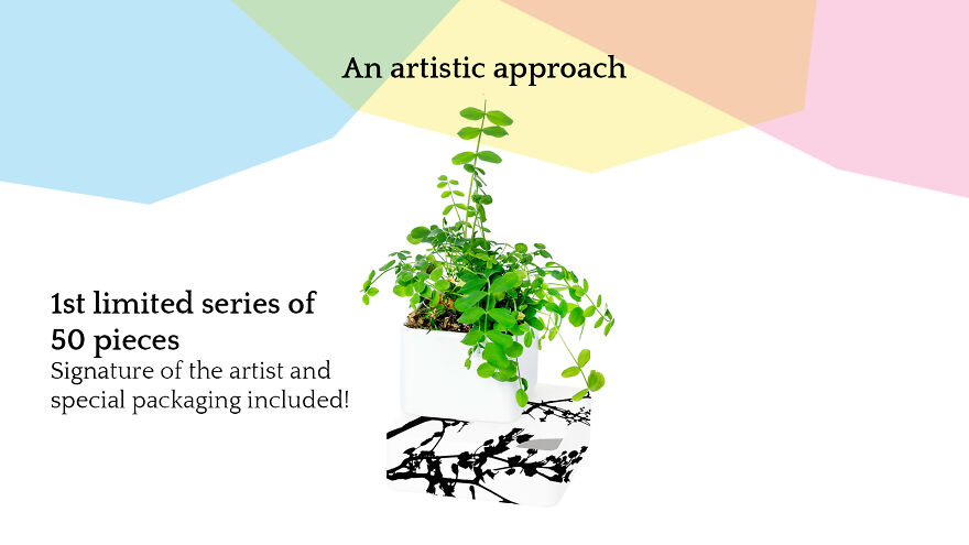 Join The Green Revolution With Kigarden Join The Green Revolution With Kigarden