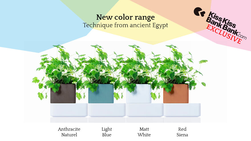 Join The Green Revolution With Kigarden Join The Green Revolution With Kigarden