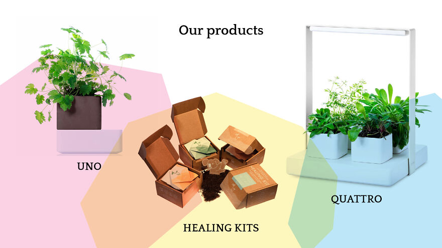 Join The Green Revolution With Kigarden Join The Green Revolution With Kigarden
