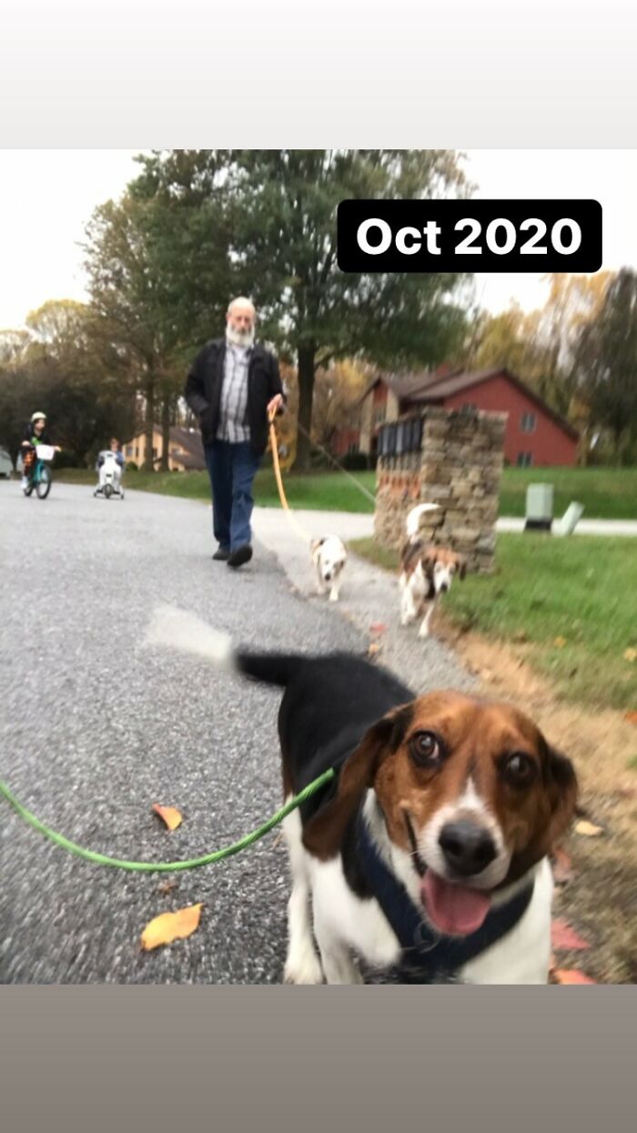 Jude