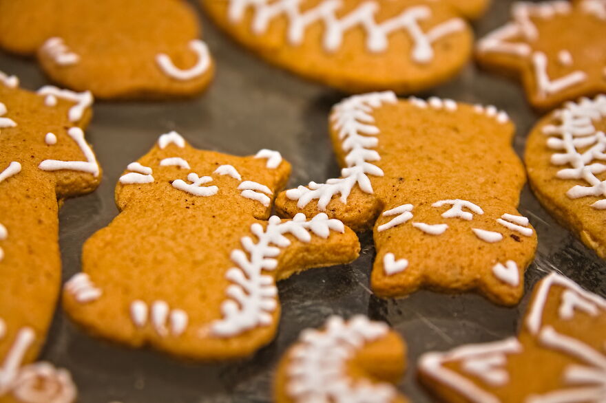 2019, Christmas Gingerbread Cats