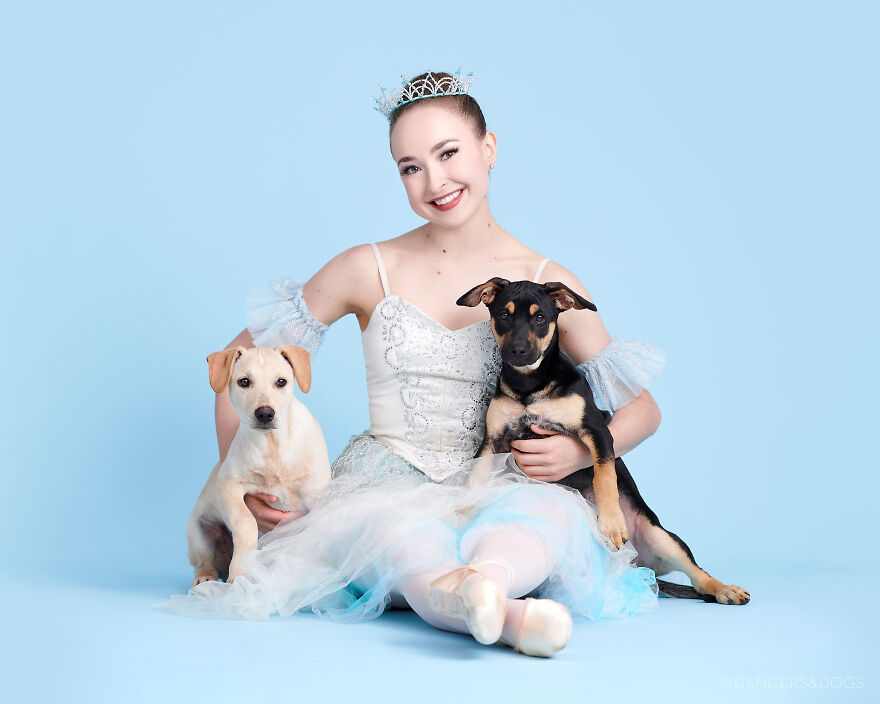 Project Shows Dancers In A Beautiful Photoshoot With Dogs And Cats For Adoption
