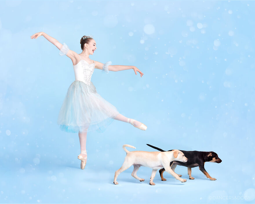 Project Shows Dancers In A Beautiful Photoshoot With Dogs And Cats For Adoption
