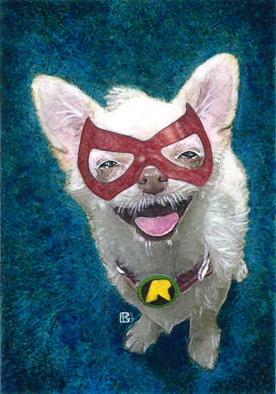 I Make Superhero "Derp" Dog Portraits