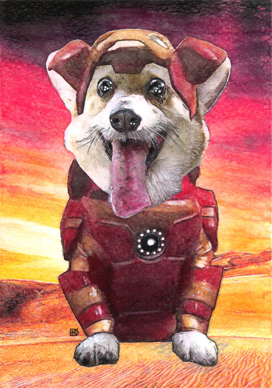 I Make Superhero "Derp" Dog Portraits
