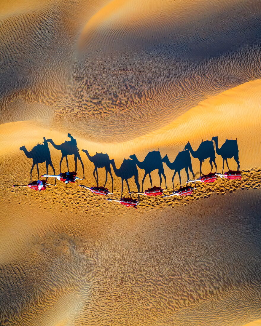 Taking A Camel Ride Through The Desert At Sunset
