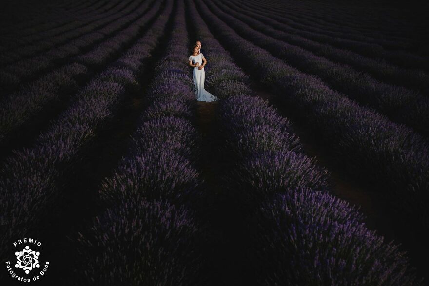Incredible Picture Of This Couple In A Lavender Field By Ana Agua