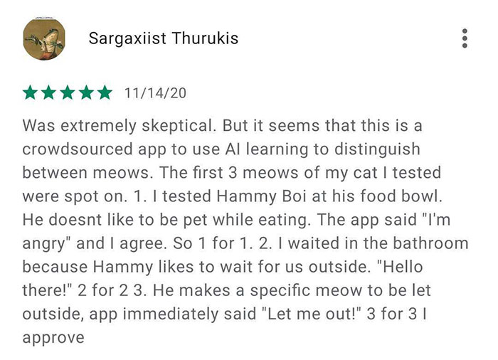 This App Translates Cats' Meows Into Words We Can Understand