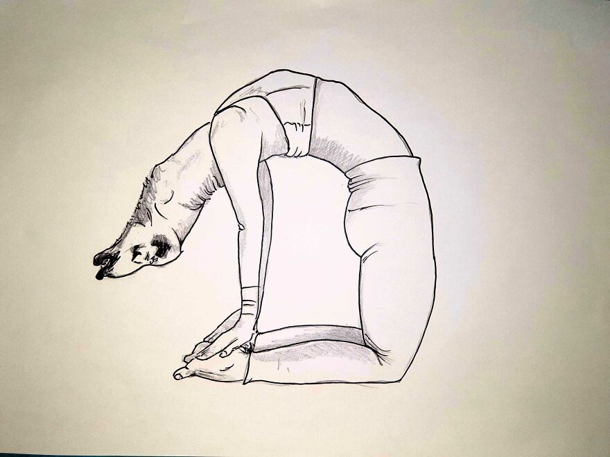 I Put Animal Heads On Fitting Yoga Poses