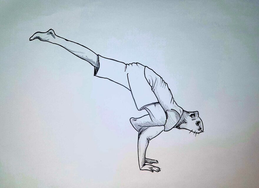 I Put Animal Heads On Fitting Yoga Poses