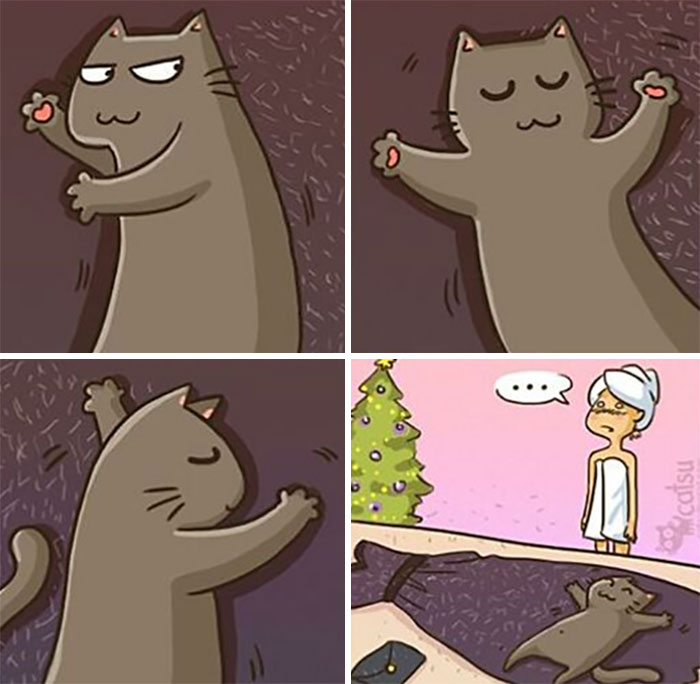 31 Comics That Cat Lovers Will Totally Relate To By This Comic Artist (New Pics)