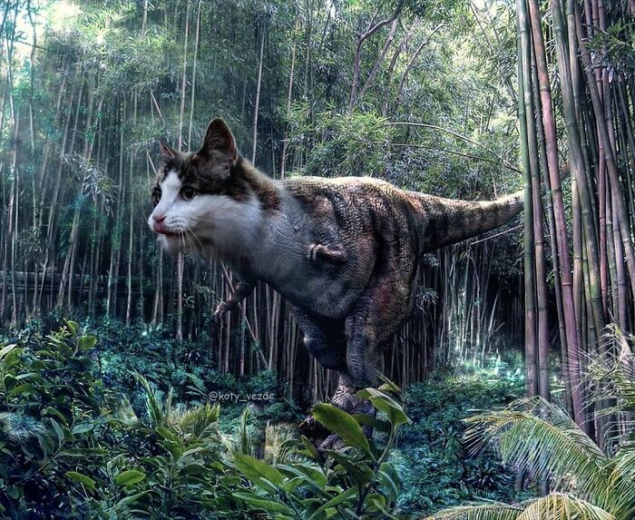 Animals-Photoshopped-Cats-Koty-Vezde-Galina-Bugaevskaya