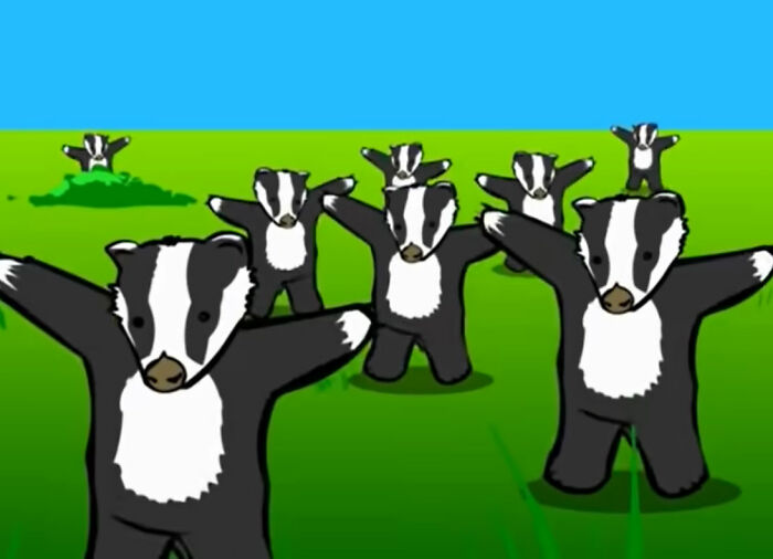 The Badger Song!