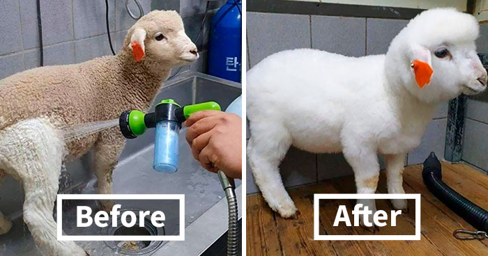 50 Times Things Were Completely Transformed By Cleaning Them