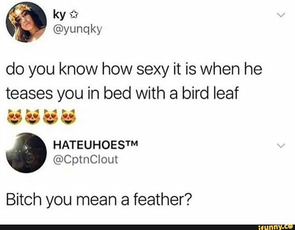 bitch-you-mean-a-feather-5fc17d8528142.jpg