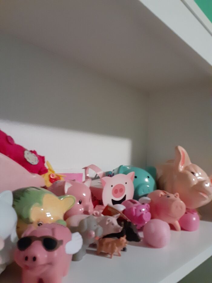 I Collect Piggy Banks And Pig Figurines. It's My Favorite Animal :)