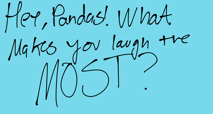 Hey, Pandas! Just Have Some Questions. Come And See What Other People Answer With!! Should Be Fun.