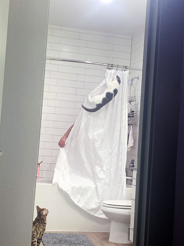 Heard My Husband Screaming While In The Shower... Walked In On This