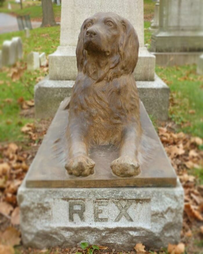 People Are Leaving Sticks At A Cemetery To Pay Tribute To This Dog Who Died 100 Years Ago