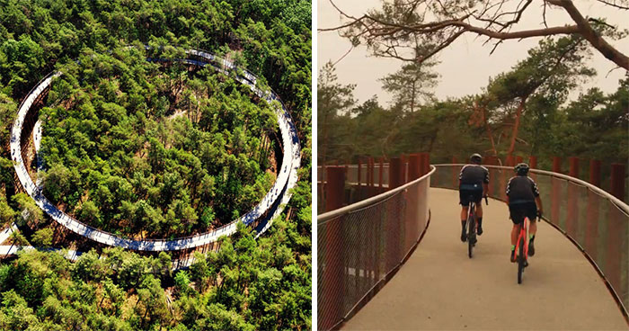 This 360-Degree Pathway In Belgium Lets You Cycle Through The Trees 32 Ft Above The Ground