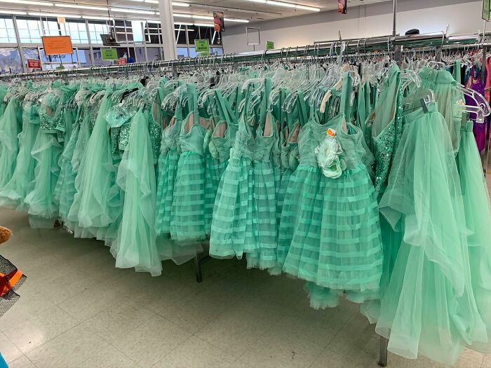 Goodwill; St. Louis, Missouri. For All Your Green, Tulle, Sequined, Poofy Dress Needs.