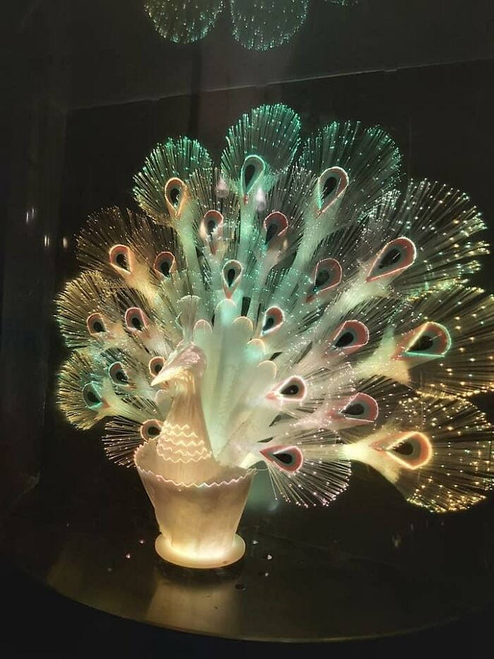 Guess Who Thrifted The Most Fabulous Fiberoptic Peacock Lamp Today!?! Me! I Did! In Powell River, British Columbia. $5.00