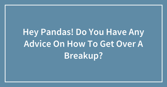 Hey Pandas! Do You Have Any Advice On How To Get Over A Breakup? (Ended)