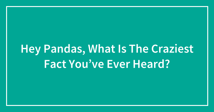 Hey Pandas, What Is The Craziest Fact You’ve Ever Heard? (Closed)