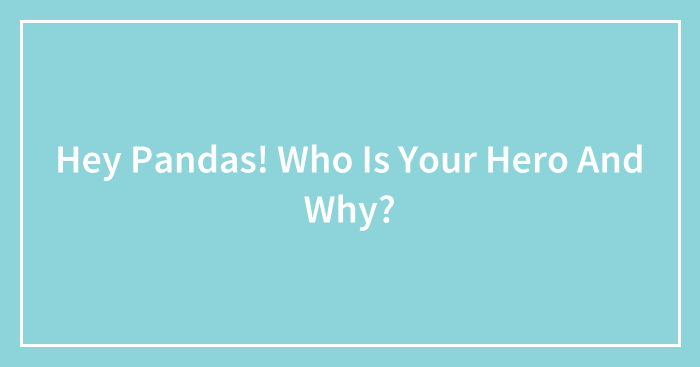 Hey Pandas! Who Is Your Hero And Why? (Closed)