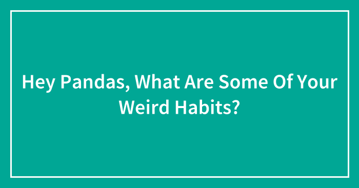 Hey Pandas, What Are Some Of Your Weird Habits? (Closed)