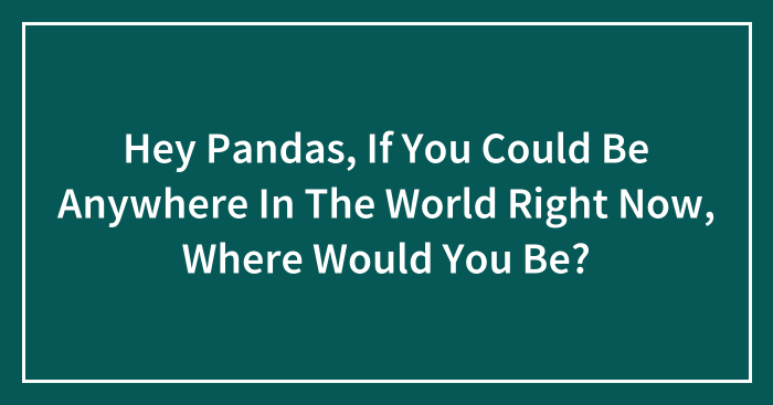Hey Pandas, If You Could Be Anywhere In The World Right Now, Where Would You Be? (Closed)