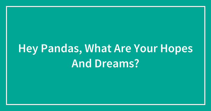 Hey Pandas, What Are Your Hopes And Dreams? (Ended)