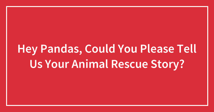 Hey Pandas, Could You Please Tell Us Your Animal Rescue Story? (Closed)