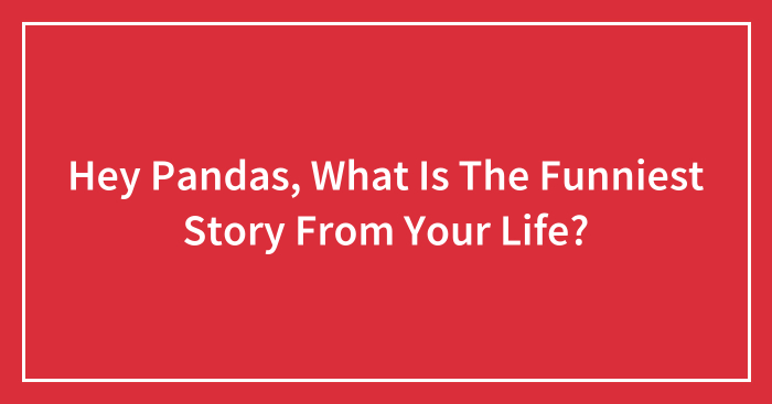 Hey Pandas, What Is The Funniest Story From Your Life? (Closed)