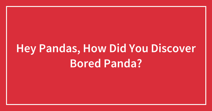 Hey Pandas, How Did You Discover Bored Panda? (Closed)