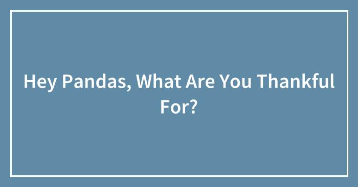 Hey Pandas, What Are You Thankful For? (Closed)