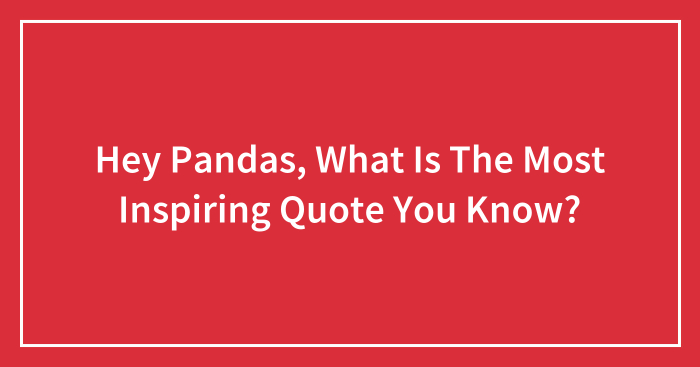 Hey Pandas, What Is The Most Inspiring Quote You Know? (Closed)
