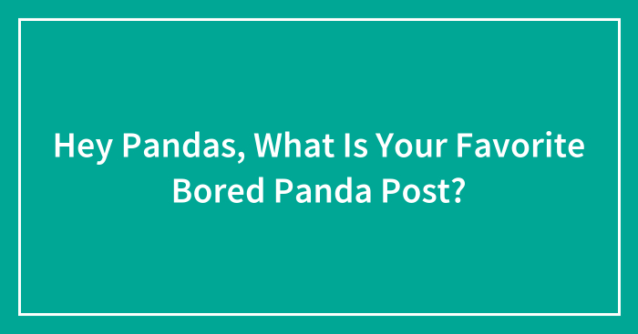 Hey Pandas, What Is Your Favorite Bored Panda Post? (Closed)