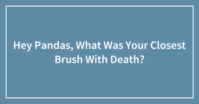 Hey Pandas, What Was Your Closest Brush With Death? (Closed)