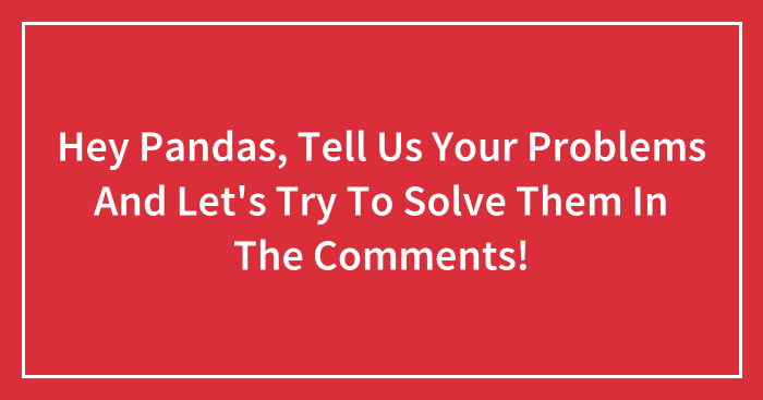 Hey Pandas, Tell Us Your Problems And Let’s Try To Solve Them In The Comments! (Closed)