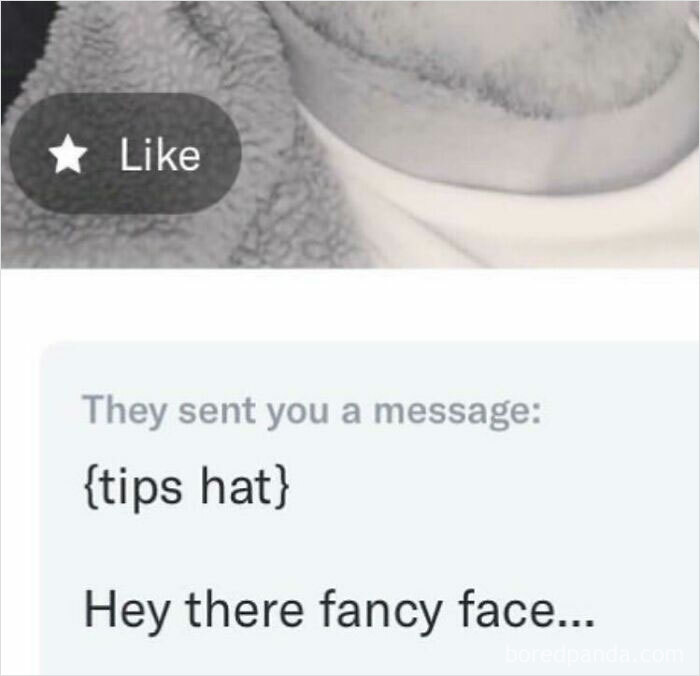 Fancy Face... 