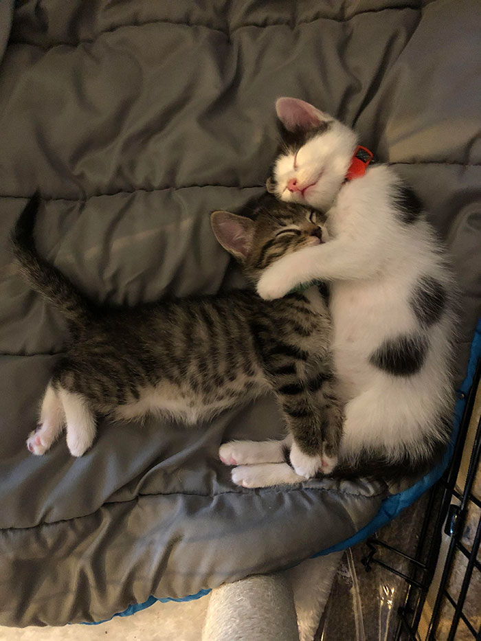 Just These Brothers Sleeping. You’re Welcome