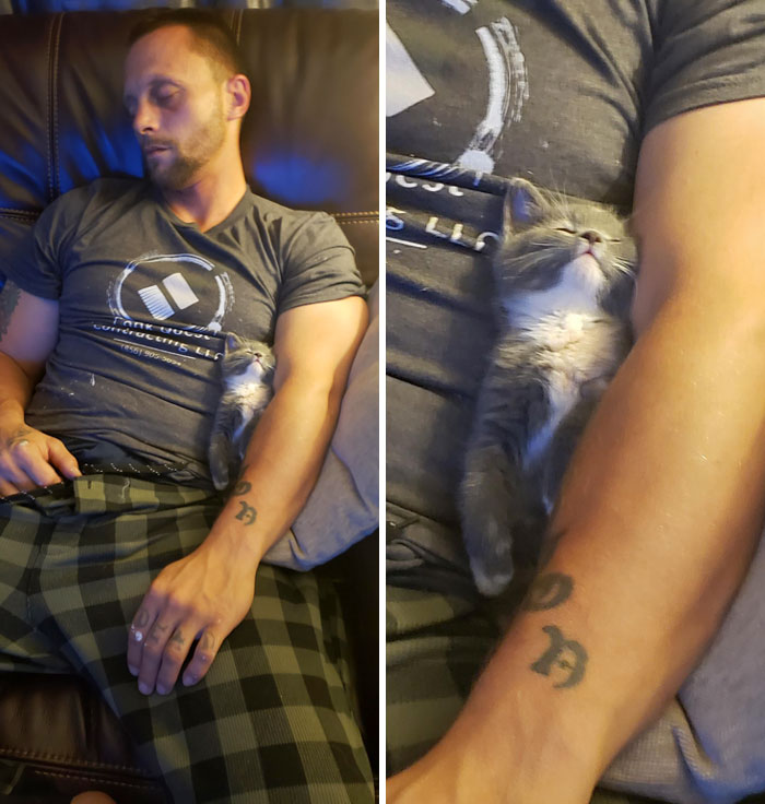 Man And Kitten Taking A Cat Nap