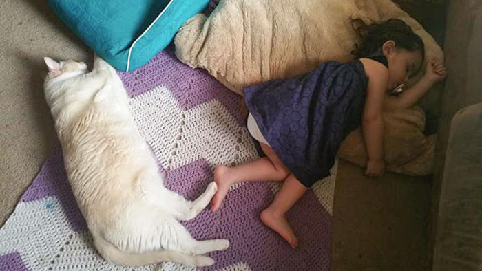 My Daughter And Our Cat Always Have To Be Touching When They Nap. Today It Was Foot To Foot