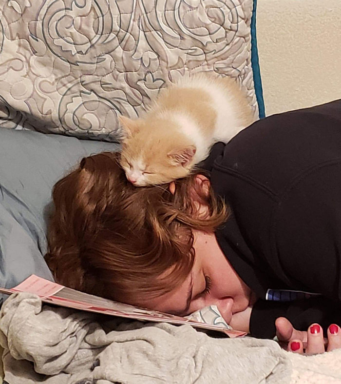 My Exhausted Daughter Fell Asleep. Her Kitten Decided To Join Her
