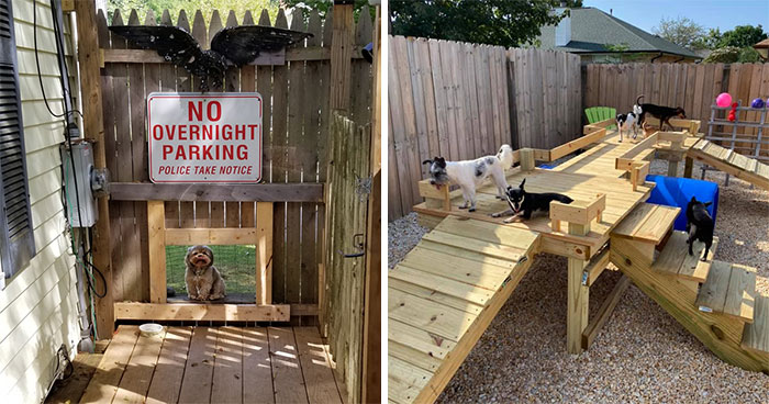 31 Dog Owners Show Off Some Of The Coolest Things They Did For Their Dogs In The “I Did It For My Dog” Challenge On Facebook
