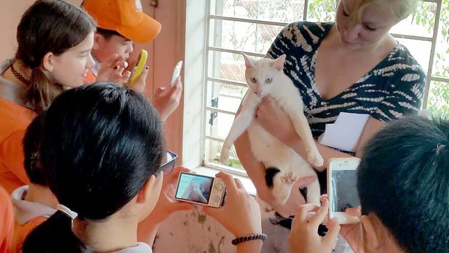 Vietnam's First Farm Sanctuary And Animal Rescue Helps All Kinds Of Animals Who Are Suffering From Cruelty And Neglect