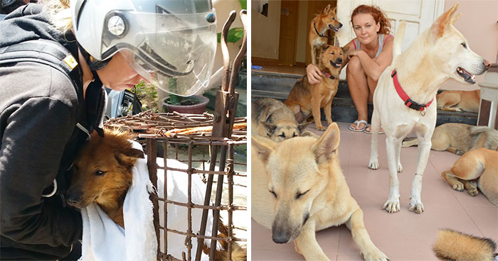 Vietnam’s First Farm Sanctuary And Animal Rescue Helps All Kinds Of Animals Who Are Suffering From Cruelty And Neglect