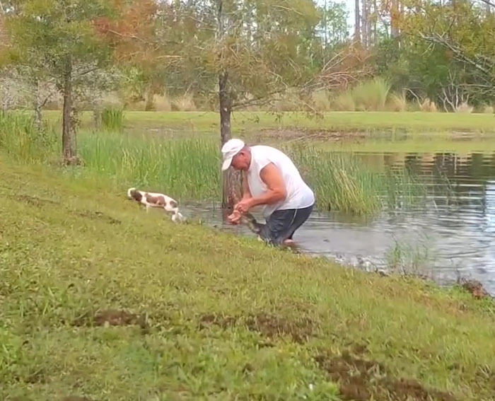 74 Y.O. Florida Man Wrestles Alligator To Save His 3 M.O. Puppy | Bored Panda