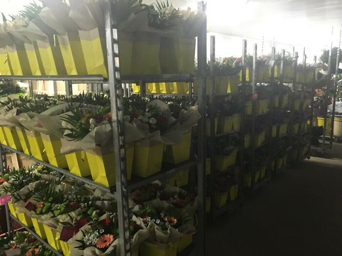 This Florist Places Hundreds Of Bouquets On Caregivers' Cars In A Hospital Parking Lot After Being Forced To Throw Away Unsold Flowers